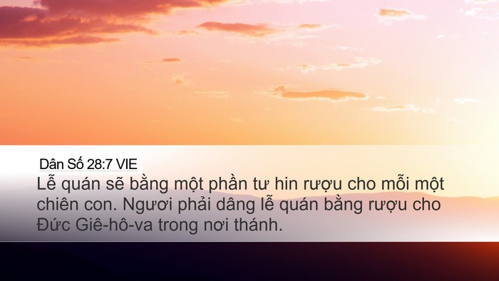Dân Số 28:7 VIE Desktop Wallpaper - Lễ quán sẽ bằng một phần tư hin - Desktop Bible Verse Wallpaper