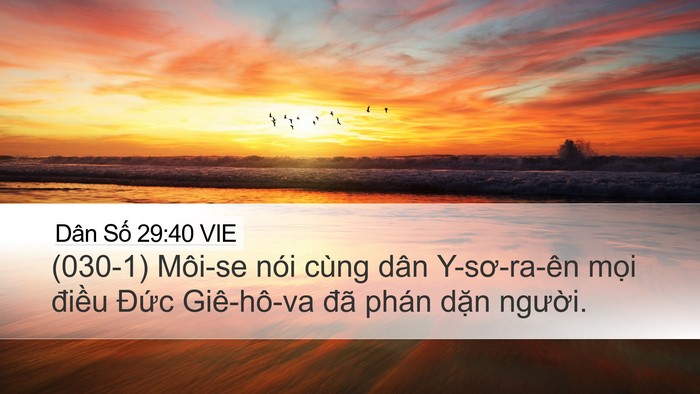 Dân Số 29:40 VIE Bible Verse Image