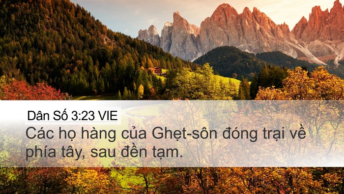 Dân Số 3:23 VIE Bible Verse Image