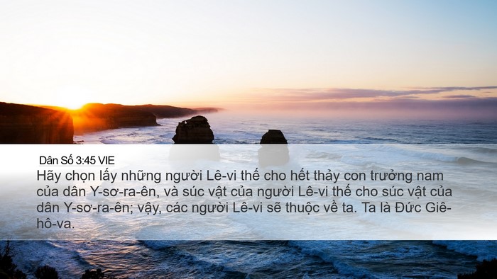 Dân Số 3:45 VIE Bible Verse Image