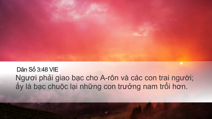 Dân Số 3:48 VIE Bible Verse Image
