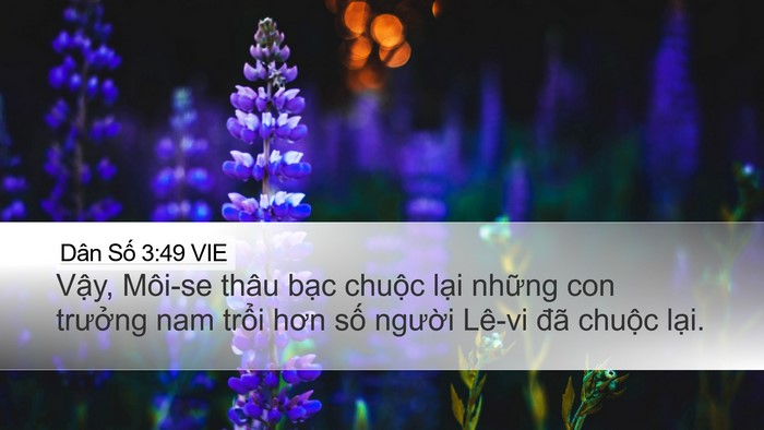 Dân Số 3:49 VIE Desktop Wallpaper - Vậy, Môi-se thâu bạc chuộc lại những - Desktop Bible Verse Wallpaper