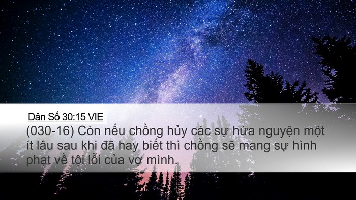 Dân Số 30:15 VIE Desktop Wallpaper - (030-16) Còn nếu chồng hủy các sự hứa - Desktop Bible Verse Wallpaper