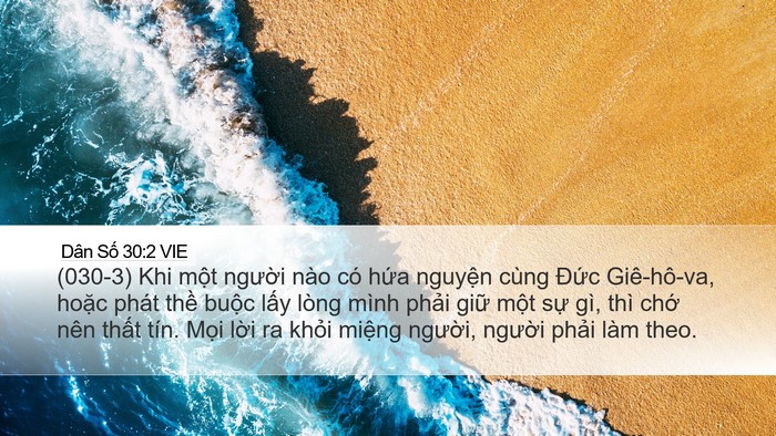 Dân Số 30:2 VIE Desktop Wallpaper - (030-3) Khi một người nào có hứa - Desktop Bible Verse Wallpaper