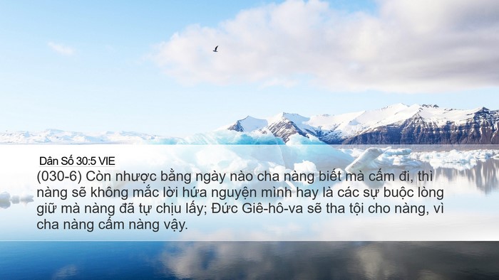 Dân Số 30:5 VIE Bible Verse Image