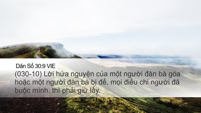 Dân Số 30:9 VIE Desktop Wallpaper - (030-10) Lời hứa nguyện của một - Desktop Bible Verse Wallpaper