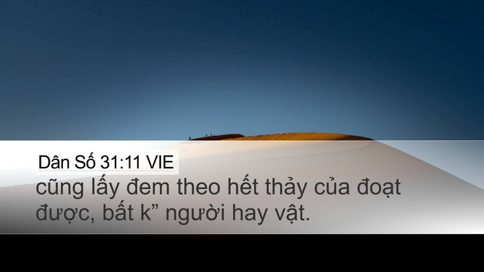 Dân Số 31:11 VIE Bible Verse Image