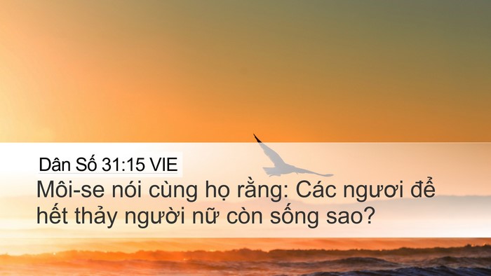 Dân Số 31:15 VIE Bible Verse Image