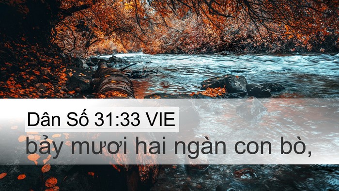Dân Số 31:33 VIE Desktop Wallpaper - bảy mươi hai ngàn con - Desktop Bible Verse Wallpaper