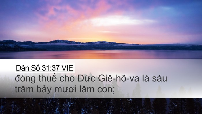 Dân Số 31:37 VIE Desktop Wallpaper - đóng thuế cho Đức Giê-hô-va là sáu - Desktop Bible Verse Wallpaper
