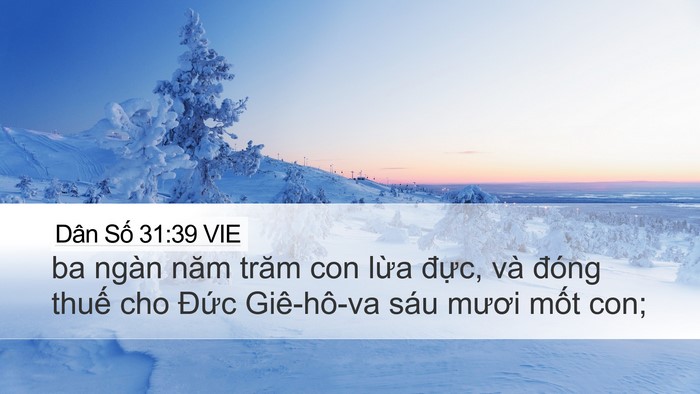 Dân Số 31:39 VIE Desktop Wallpaper - ba ngàn năm trăm con lừa đực, và đóng - Desktop Bible Verse Wallpaper