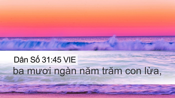 Dân Số 31:45 VIE Desktop Wallpaper - ba mươi ngàn năm trăm con - Desktop Bible Verse Wallpaper