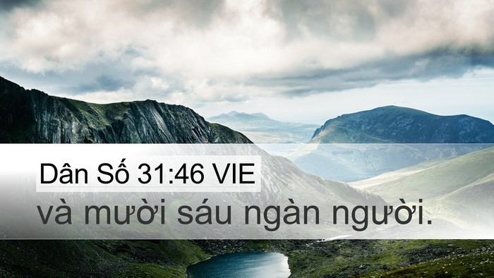 Dân Số 31:46 VIE Desktop Wallpaper - và mười sáu ngàn - Desktop Bible Verse Wallpaper