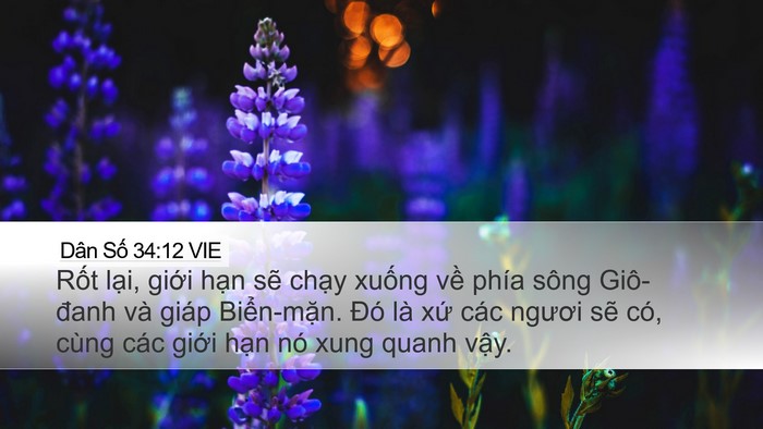Dân Số 34:12 VIE Bible Verse Image