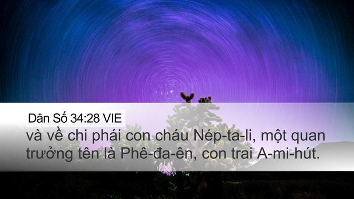Dân Số 34:28 VIE Desktop Wallpaper - và về chi phái con cháu Nép-ta-li, một - Desktop Bible Verse Wallpaper