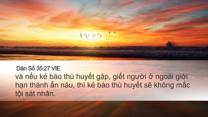 Dân Số 35:27 VIE Bible Verse Image