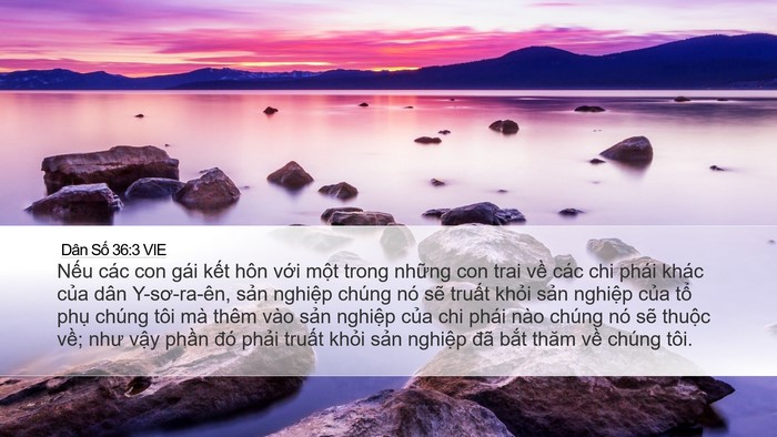 Dân Số 36:3 VIE Desktop Wallpaper - Nếu các con gái kết hôn với một trong - Desktop Bible Verse Wallpaper