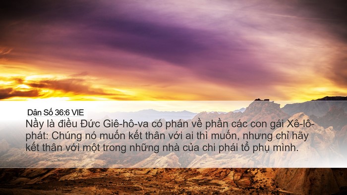 Dân Số 36:6 VIE Desktop Wallpaper - Nầy là điều Đức Giê-hô-va có phán - Desktop Bible Verse Wallpaper