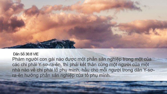 Dân Số 36:8 VIE Bible Verse Image