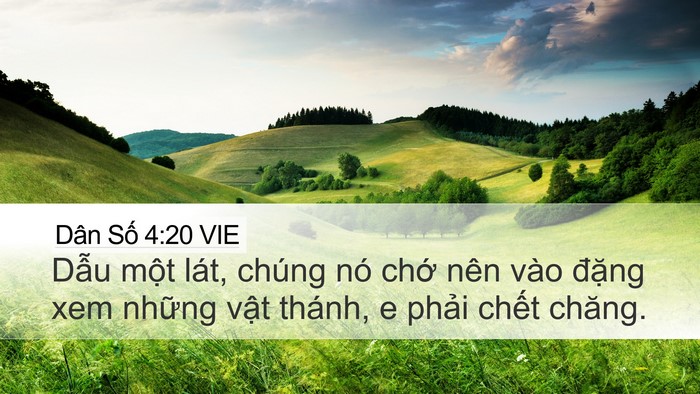Dân Số 4:20 VIE Bible Verse Image
