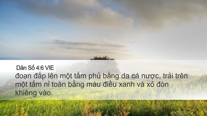 Dân Số 4:6 VIE Bible Verse Image