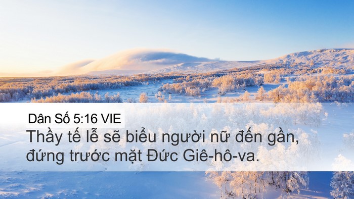 Dân Số 5:16 VIE Desktop Wallpaper - Thầy tế lễ sẽ biểu người nữ đến - Desktop Bible Verse Wallpaper