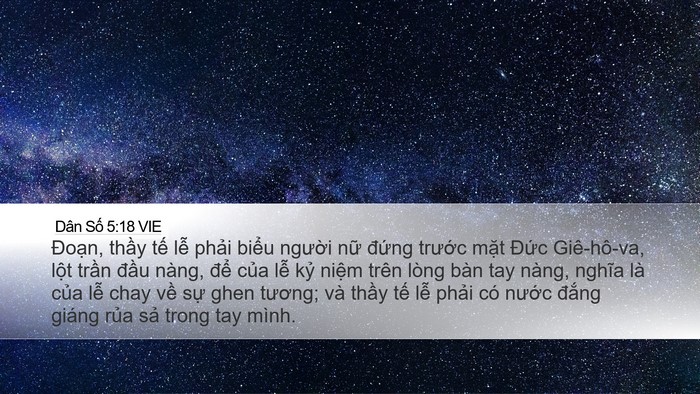 Dân Số 5:18 VIE Desktop Wallpaper - Đoạn, thầy tế lễ phải biểu người - Desktop Bible Verse Wallpaper