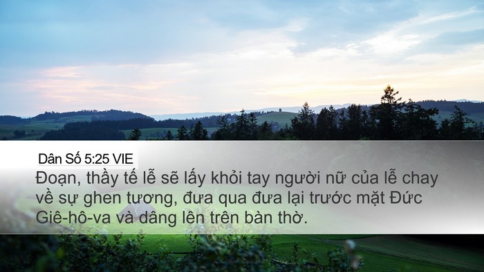 Dân Số 5:25 VIE Bible Verse Image