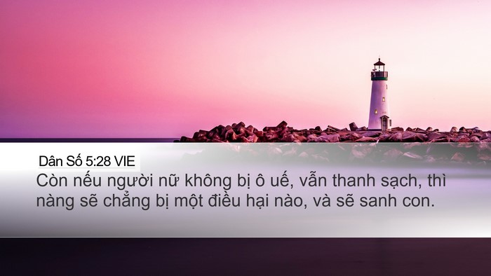 Dân Số 5:28 VIE Desktop Wallpaper - Còn nếu người nữ không bị ô uế, - Desktop Bible Verse Wallpaper