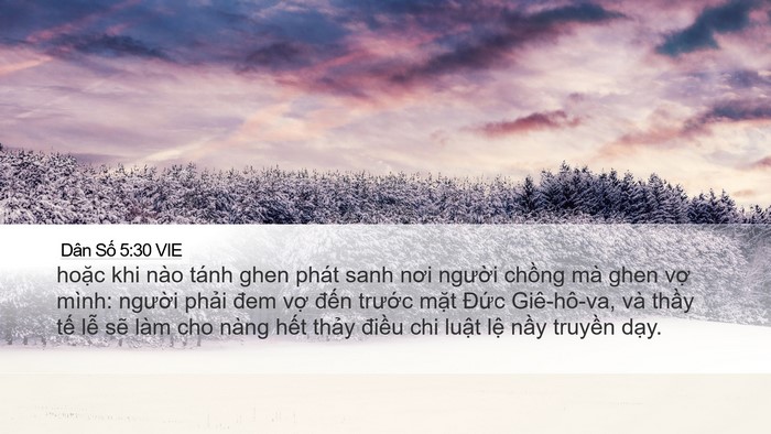 Dân Số 5:30 VIE Bible Verse Image