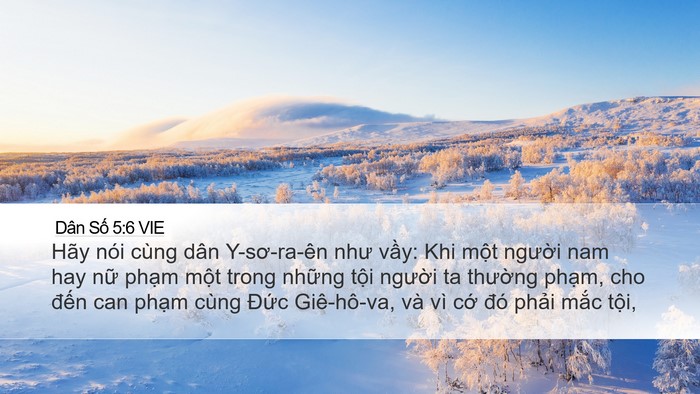 Dân Số 5:6 VIE Desktop Wallpaper - Hãy nói cùng dân Y-sơ-ra-ên như vầy: Khi - Desktop Bible Verse Wallpaper