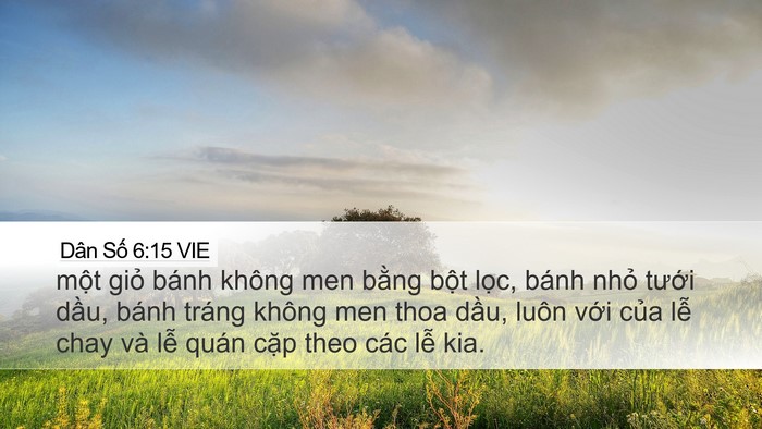 Dân Số 6:15 VIE Bible Verse Image