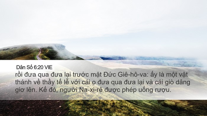 Dân Số 6:20 VIE Bible Verse Image