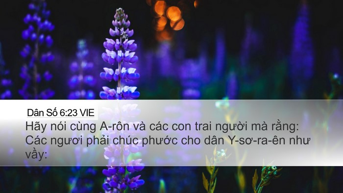 Dân Số 6:23 VIE Bible Verse Image