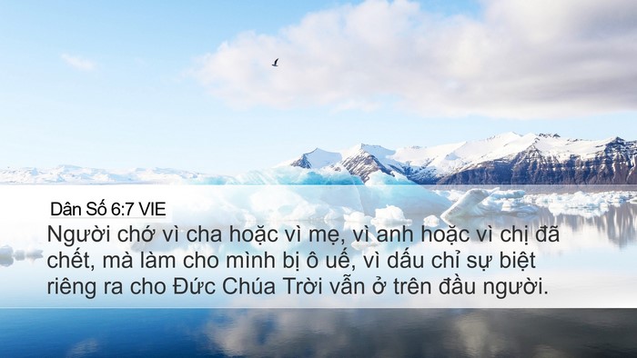 Dân Số 6:7 VIE Desktop Wallpaper - Người chớ vì cha hoặc vì mẹ, vì anh - Desktop Bible Verse Wallpaper