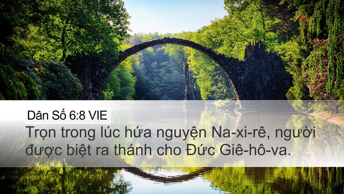 Dân Số 6:8 VIE Bible Verse Image