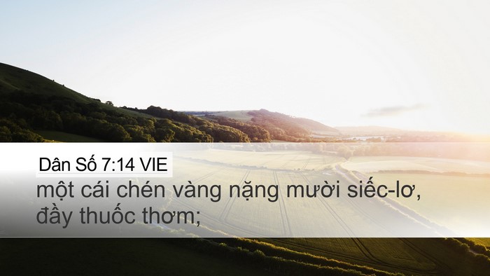 Dân Số 7:14 VIE Bible Verse Image