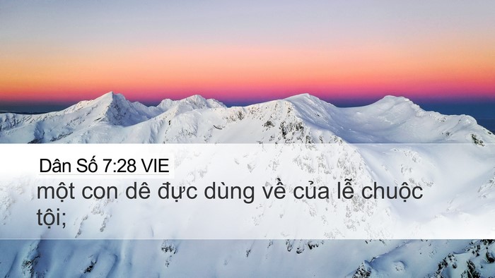 Dân Số 7:28 VIE Desktop Wallpaper - một con dê đực dùng về của lễ - Desktop Bible Verse Wallpaper