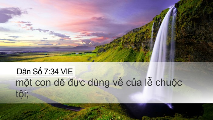 Dân Số 7:34 VIE Desktop Wallpaper - một con dê đực dùng về của lễ - Desktop Bible Verse Wallpaper
