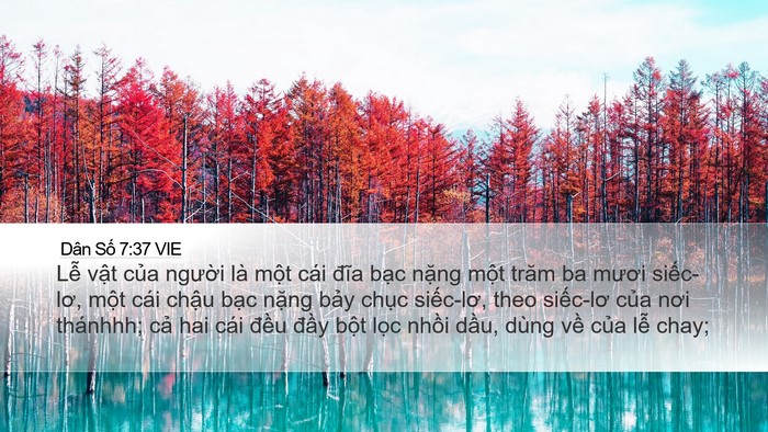 Dân Số 7:37 VIE Desktop Wallpaper - Lễ vật của người là một cái đĩa - Desktop Bible Verse Wallpaper