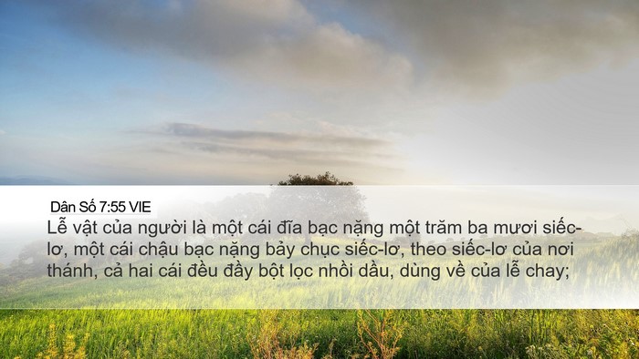 Dân Số 7:55 VIE Desktop Wallpaper - Lễ vật của người là một cái đĩa - Desktop Bible Verse Wallpaper