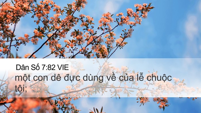 Dân Số 7:82 VIE Desktop Wallpaper - một con dê đực dùng về của lễ - Desktop Bible Verse Wallpaper