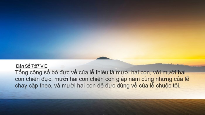 Dân Số 7:87 VIE Desktop Wallpaper - Tổng cộng số bò đực về của lễ - Desktop Bible Verse Wallpaper