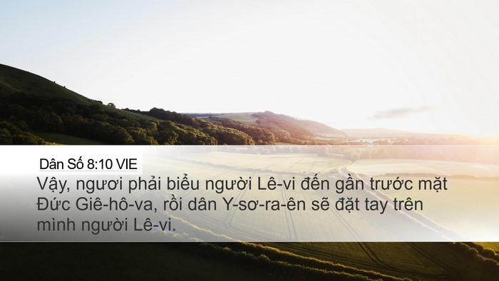 Dân Số 8:10 VIE Desktop Wallpaper - Vậy, ngươi phải biểu người Lê-vi - Desktop Bible Verse Wallpaper