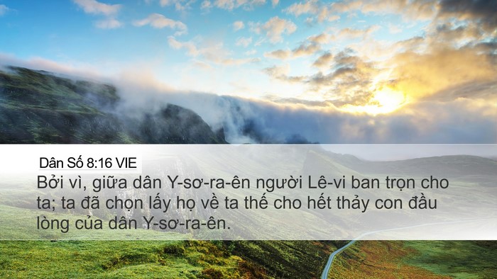 Dân Số 8:16 VIE Bible Verse Image