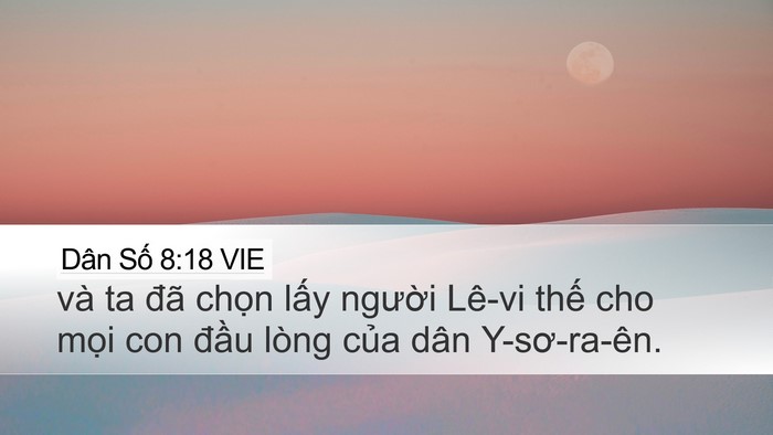 Dân Số 8:18 VIE Desktop Wallpaper - và ta đã chọn lấy người Lê-vi thế - Desktop Bible Verse Wallpaper