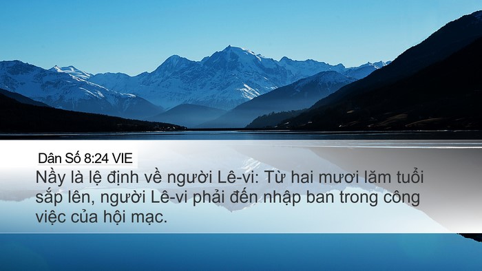 Dân Số 8:24 VIE Bible Verse Image