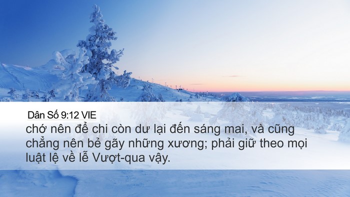 Dân Số 9:12 VIE Desktop Wallpaper - chớ nên để chi còn dư lại đến sáng - Desktop Bible Verse Wallpaper