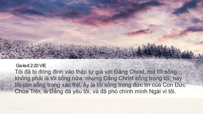 Ga-la-ti 2:20 VIE Bible Verse Image