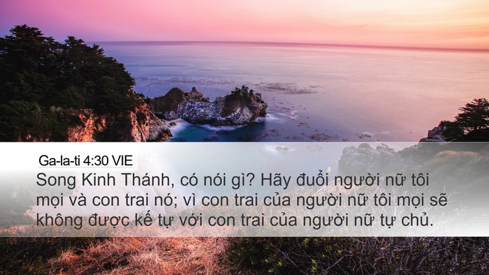 Ga-la-ti 4:30 VIE Bible Verse Image